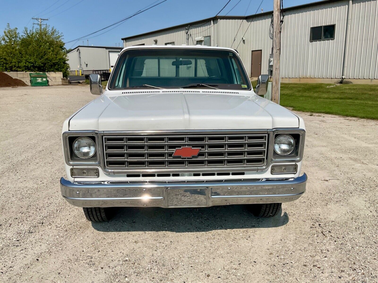 Chevrolet-Cheyenne-1976-12