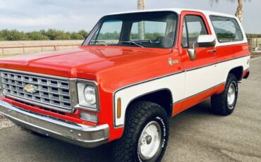 Chevrolet-Cheyenne-1976-2