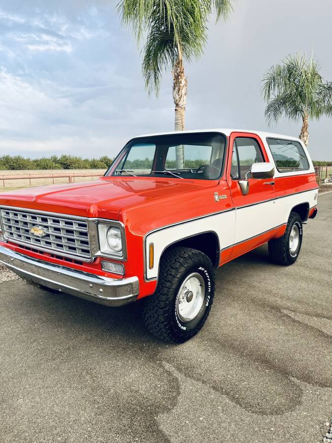 Chevrolet-Cheyenne-1976-2