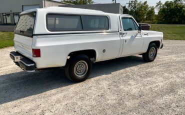 Chevrolet-Cheyenne-1976-2