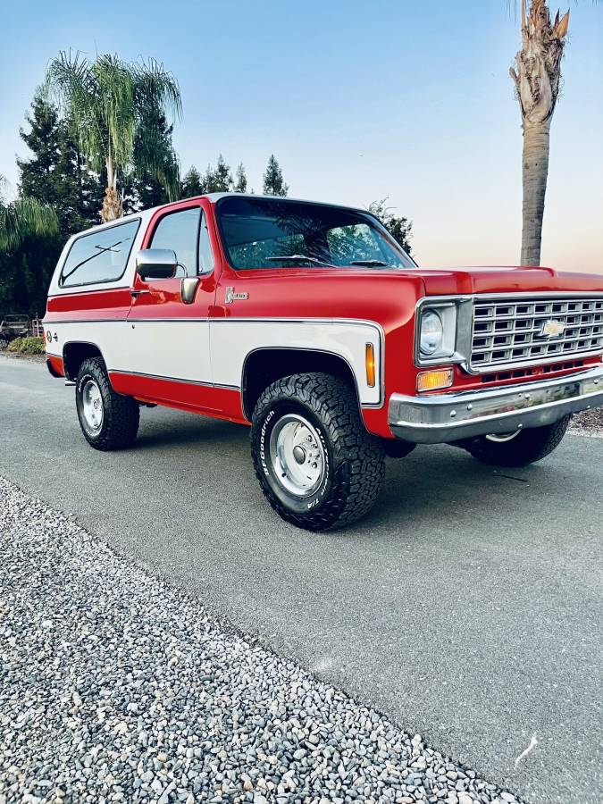 Chevrolet-Cheyenne-1976-22