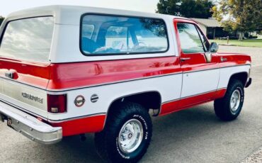 Chevrolet-Cheyenne-1976