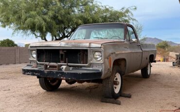 Chevrolet-Cheyenne-1976-4