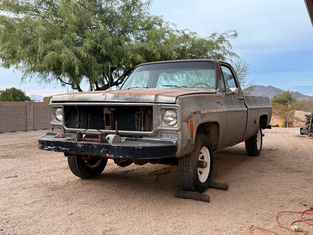 Chevrolet-Cheyenne-1976-4