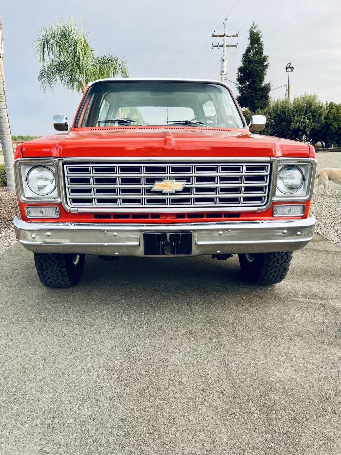 Chevrolet-Cheyenne-1976-4