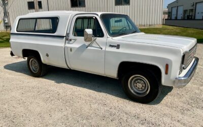 Chevrolet Cheyenne  1976 à vendre