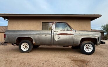 Chevrolet-Cheyenne-1976-5