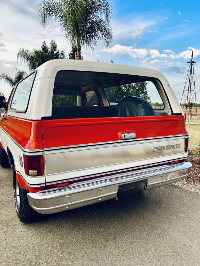 Chevrolet-Cheyenne-1976-5