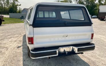 Chevrolet-Cheyenne-1976-5