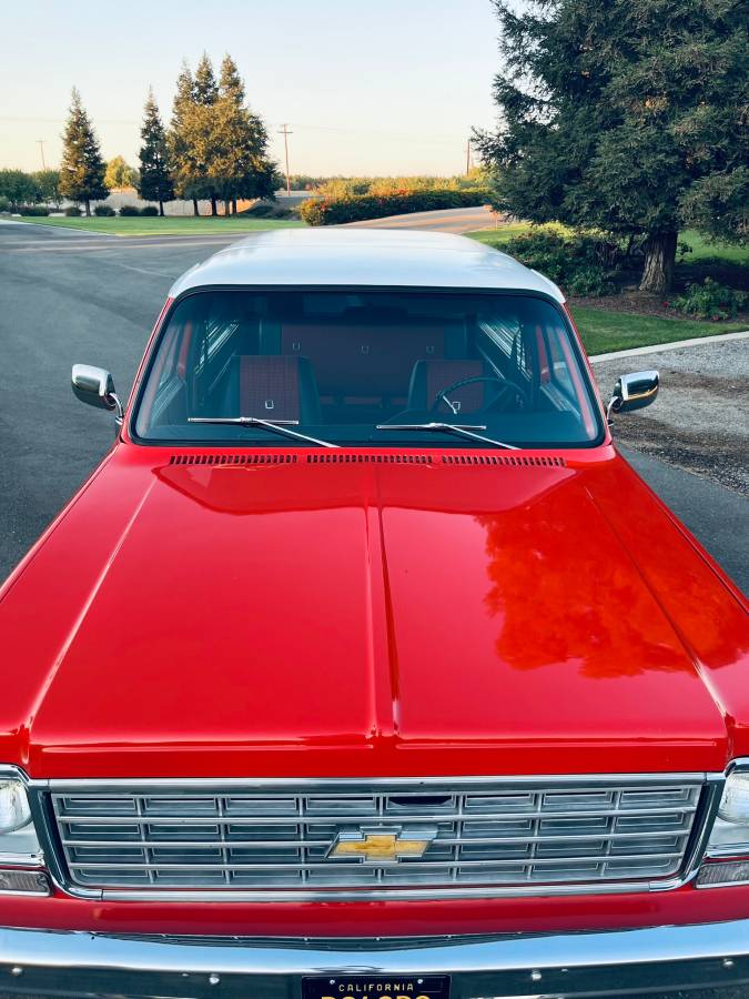 Chevrolet-Cheyenne-1976-6