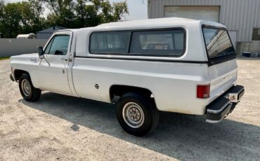 Chevrolet-Cheyenne-1976-6