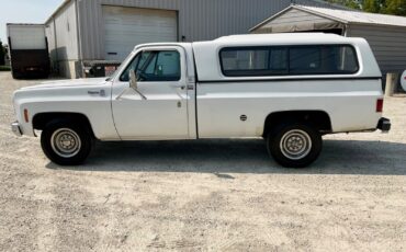 Chevrolet-Cheyenne-1976-7