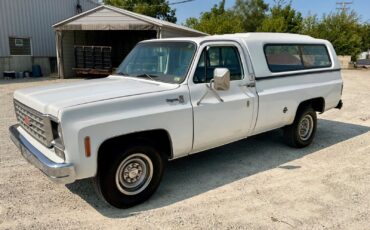 Chevrolet-Cheyenne-1976-8