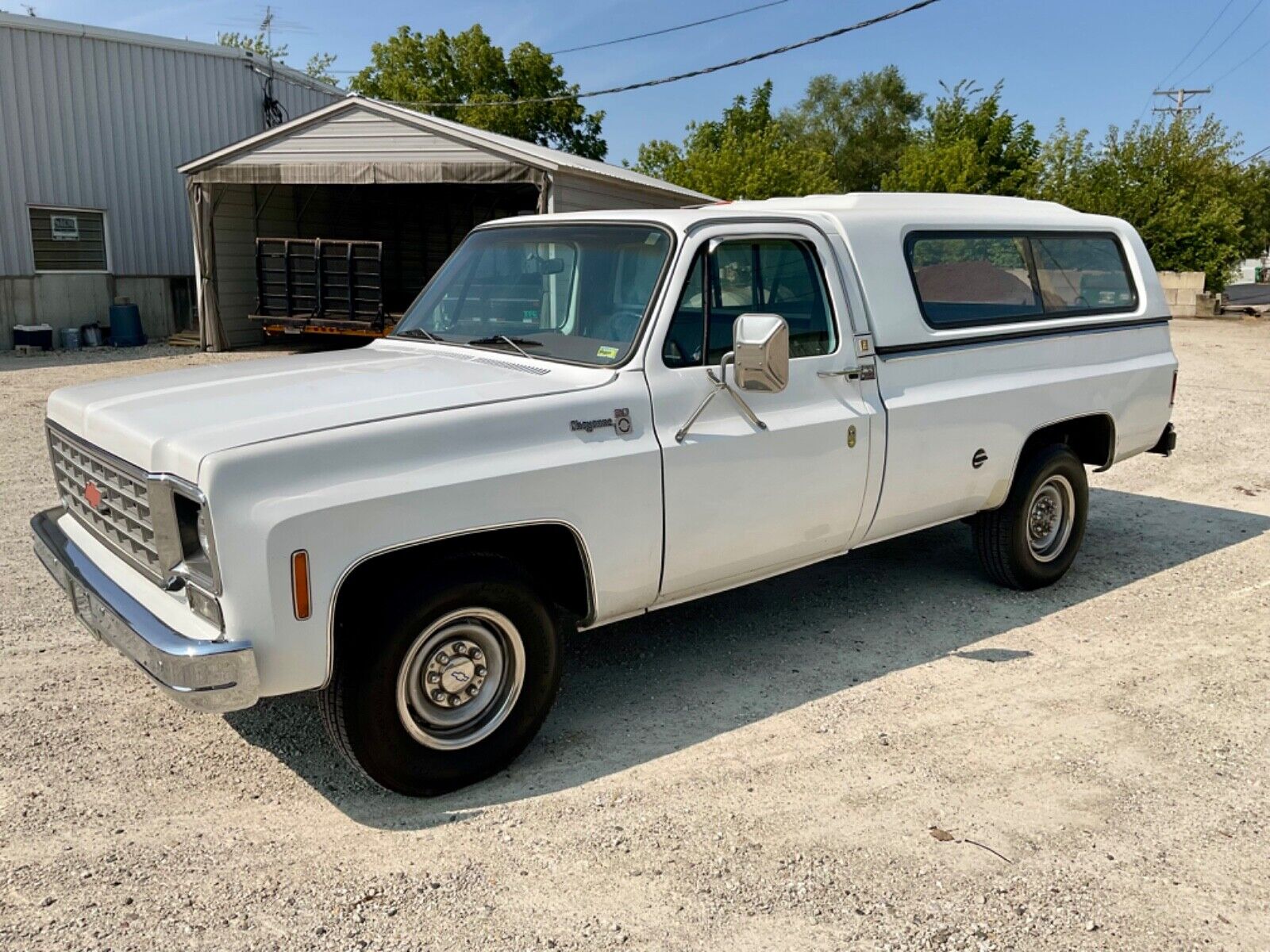 Chevrolet-Cheyenne-1976-8