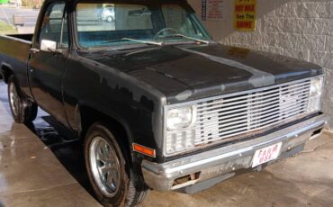 Chevrolet-Cheyenne-1981-10