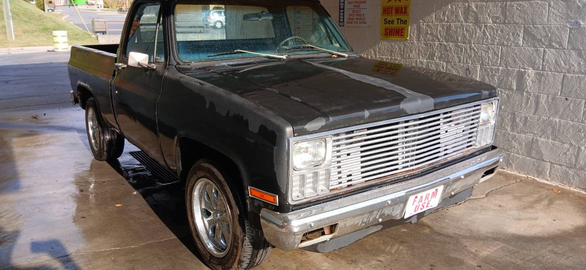 Chevrolet-Cheyenne-1981-10