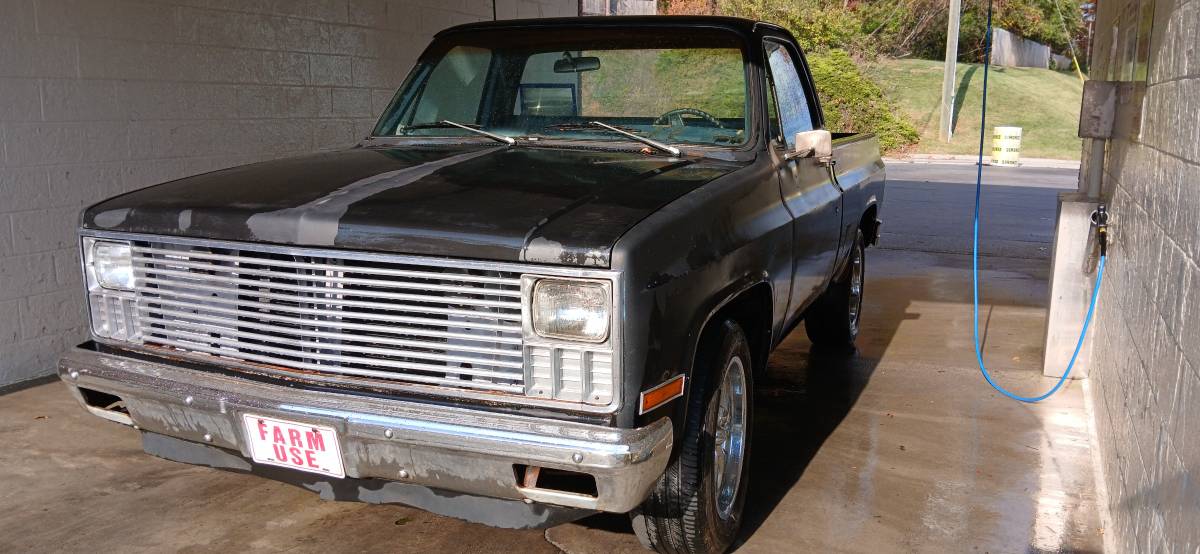 Chevrolet-Cheyenne-1981-2