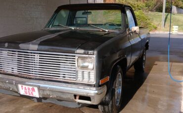 Chevrolet-Cheyenne-1981-3