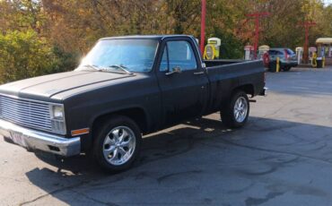 Chevrolet-Cheyenne-1981-4