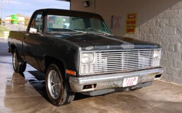 Chevrolet-Cheyenne-1981-5