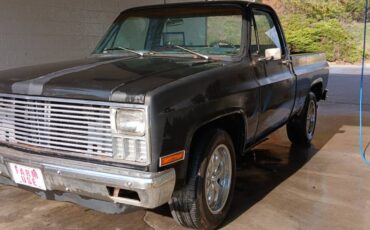 Chevrolet-Cheyenne-1981-7