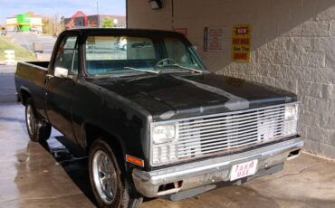 Chevrolet-Cheyenne-1981-9