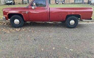 Chevrolet-Cheyenne-1987-5