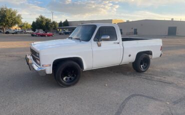 Chevrolet-Cheyenne-1989-18