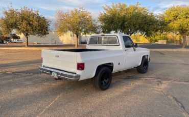 Chevrolet-Cheyenne-1989-2