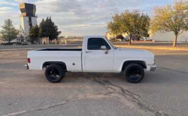 Chevrolet-Cheyenne-1989-5