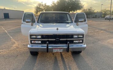 Chevrolet-Cheyenne-1989-8