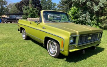 Chevrolet-Cheyenne-blazer-1973-1