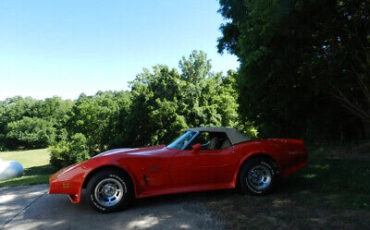 Chevrolet-Corvette-1975-3