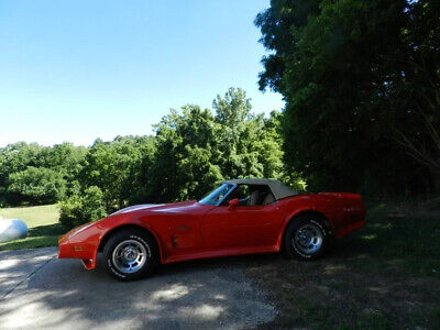 Chevrolet-Corvette-1975-3