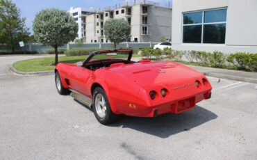 Chevrolet-Corvette-1975-5