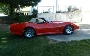 Chevrolet-Corvette-1975-6