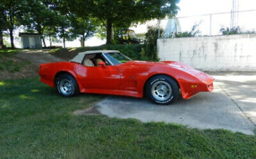 Chevrolet-Corvette-1975-7