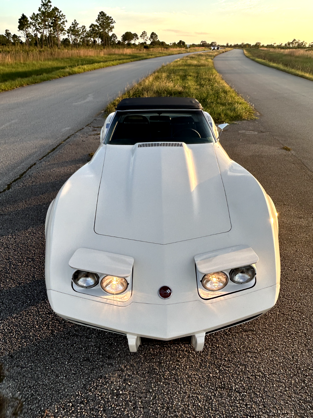 Chevrolet Corvette 1975 à vendre