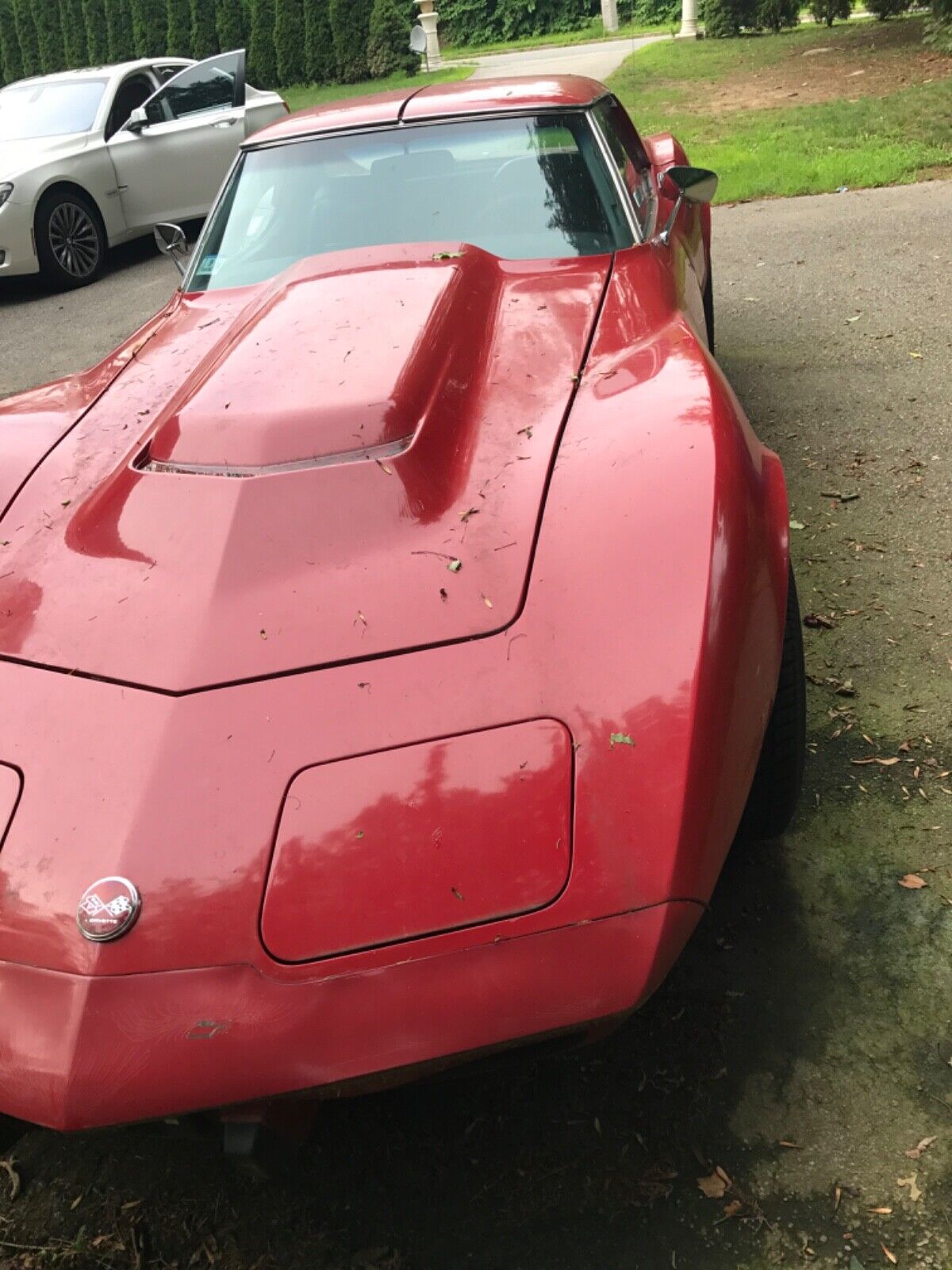 Chevrolet-Corvette-1976-1