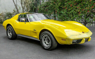 Chevrolet-Corvette-1976-2