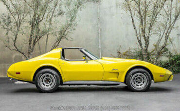 Chevrolet-Corvette-1976-3