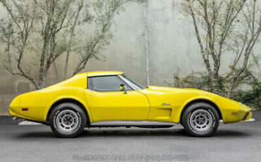 Chevrolet-Corvette-1976-9