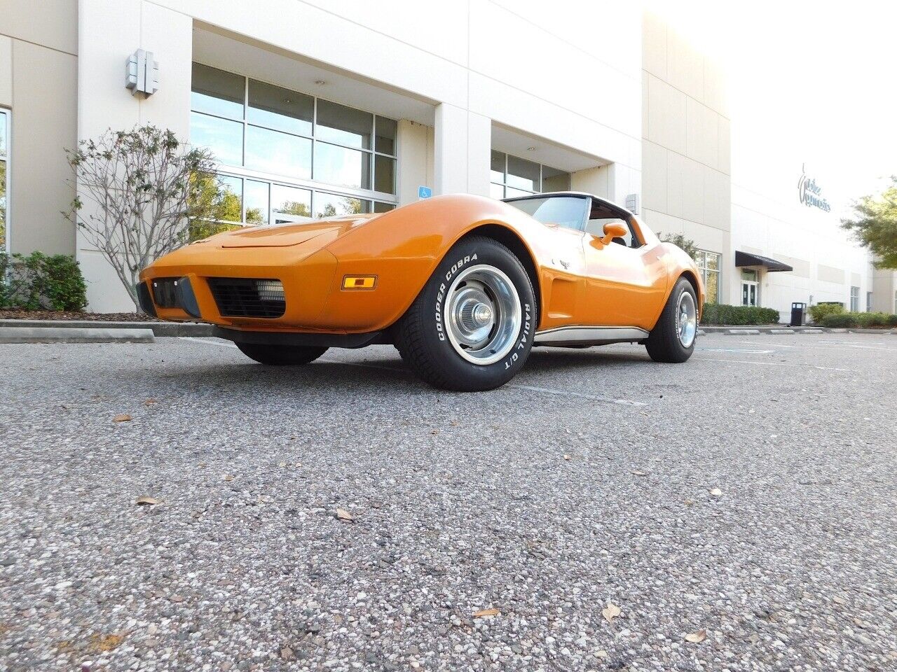 Chevrolet-Corvette-1977-11