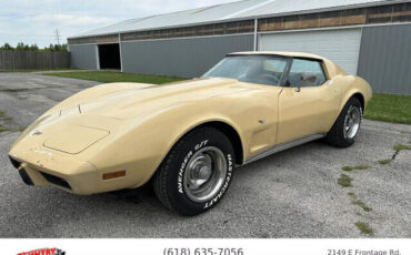 Chevrolet-Corvette-1977-4