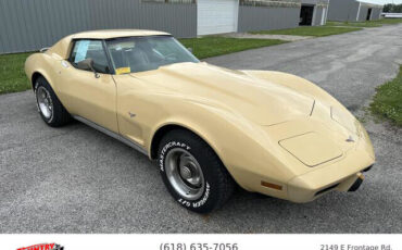 Chevrolet-Corvette-1977-8