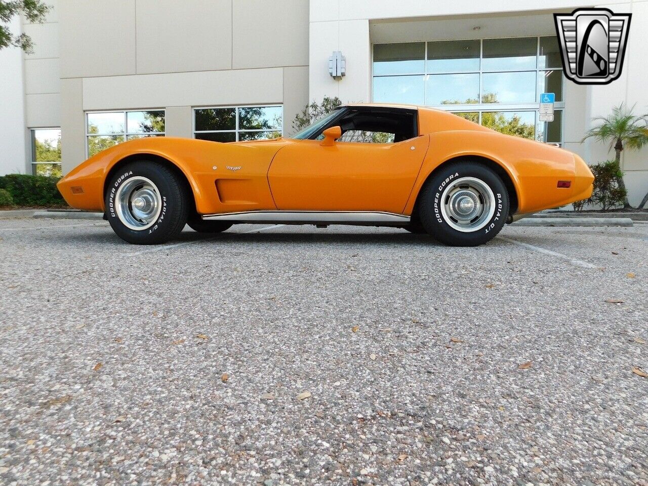 Chevrolet-Corvette-1977-9