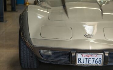 Chevrolet-Corvette-1978-13