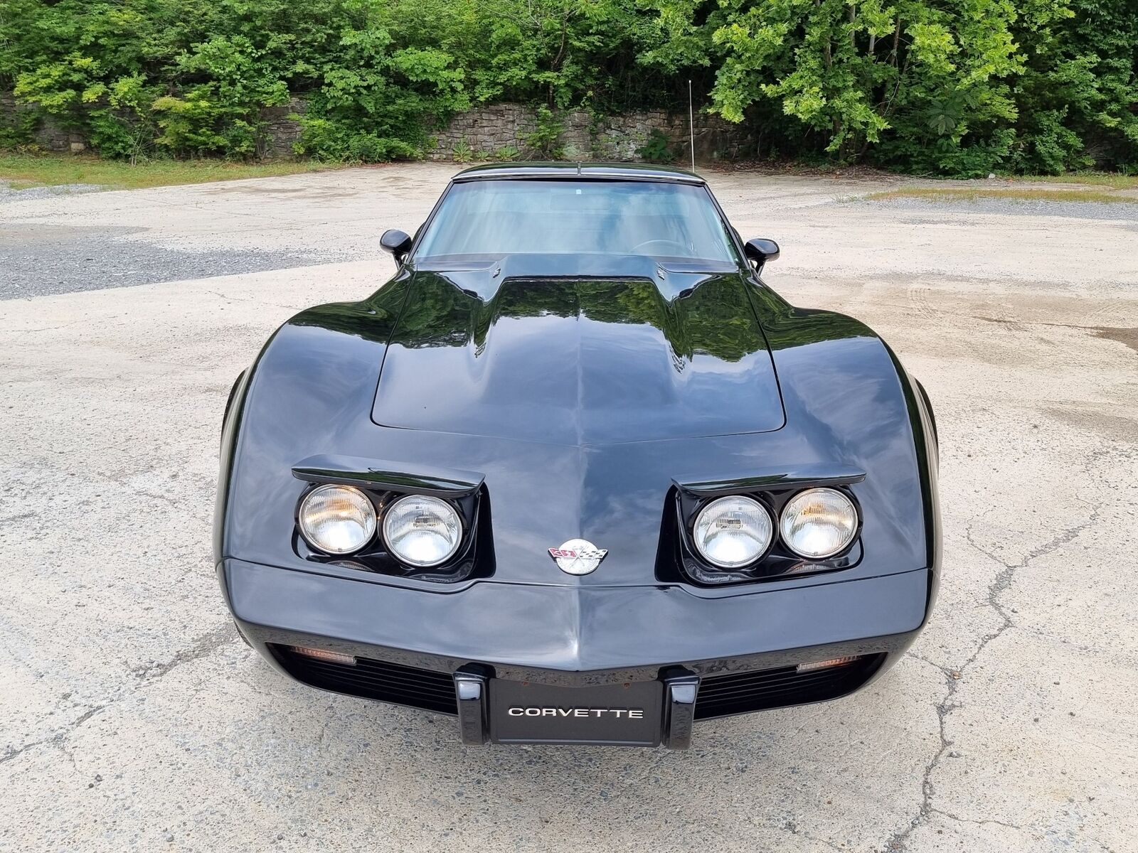 Chevrolet-Corvette-1978-14