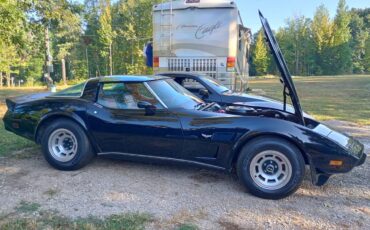 Chevrolet-Corvette-1978-15