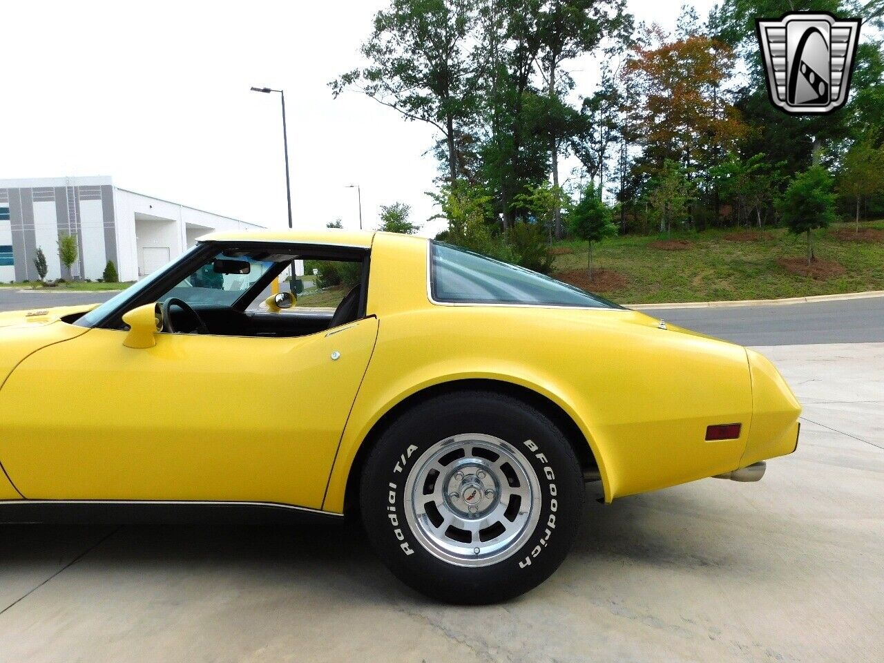 Chevrolet-Corvette-1978-5